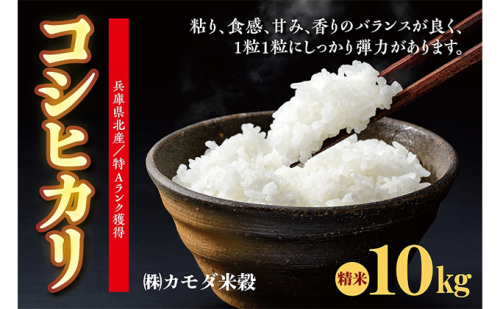 米 令和6年産 兵庫県北産 こしひかり 10kg [ お米 白米 精米 おこめ コメ ] 101642 - 兵庫県福崎町