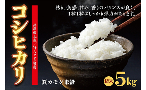 米 令和6年産 兵庫県北産 こしひかり 5kg [ お米 白米 精米 おこめ コメ ] 101647 - 兵庫県福崎町