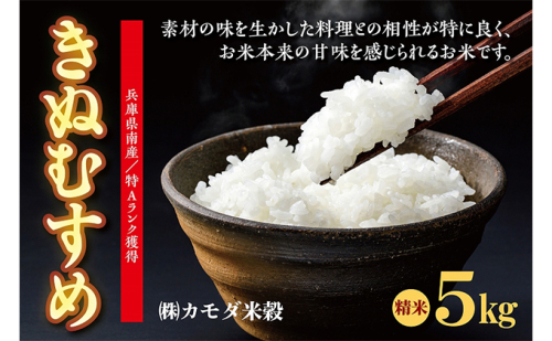 米 令和6年産 兵庫県南産 きぬむすめ 5kg [ お米 白米 精米 おこめ コメ ] 101654 - 兵庫県福崎町