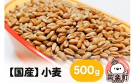 【国産】小麦 500g×1袋 サイトウ・コーポレーション 飼料