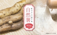 鮭川からの贈り物　自然薯　1kg