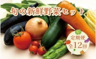 【毎月お届け全12回】旬の新鮮野菜セットＡ（たっぷり13種類以上）