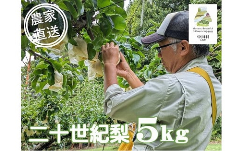 農家直送】桃沢農園のなし（二十世紀）　約５Kg±