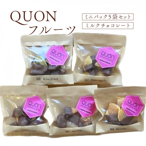 QUONフルーツミニパック5袋セット（ミルクチョコレート）【660009】 1017095 - 北海道恵庭市