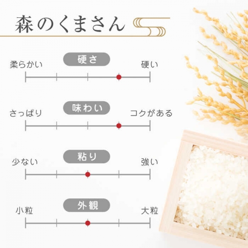 12回定期便】森のくまさん 無洗米 6kg【有限会社 農産ベストパートナー