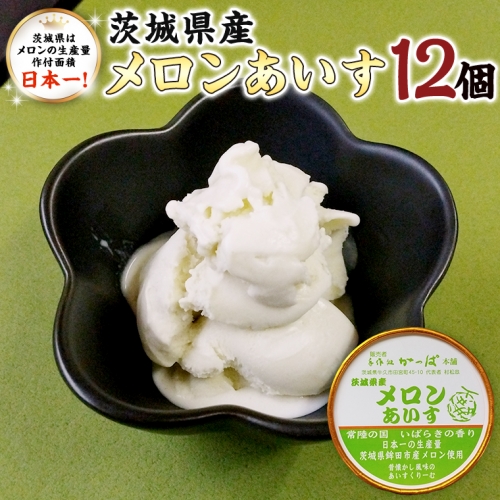 茨城県産メロンあいす 12個 アイス デザート めろん 贈り物 カップ 冷凍 1017113 - 茨城県牛久市