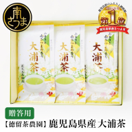 【贈答用】鹿児島県産緑茶 大浦茶 一番茶 3本セット 計300g（100g×3） ◆2024年産新茶