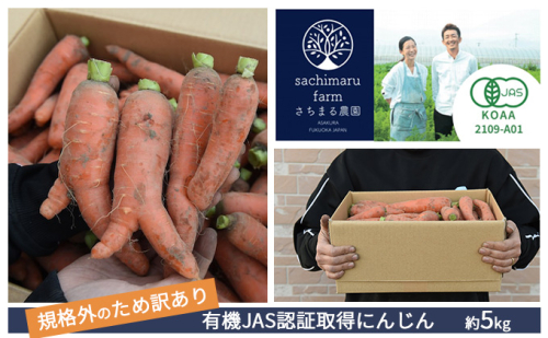 訳あり 規格外 にんじん 約5kg 有機JAS認証取得 栽培期間中農薬 除草剤 化学肥料不使用 野菜 食材 緑黄色野菜 国産野菜 えぐみがない 甘い人参 産地直送 キャロット ベジタブル  1017326 - 福岡県朝倉市