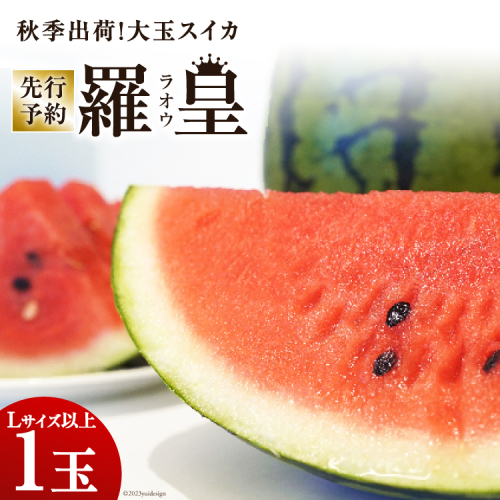 BH053【令和7年度出荷分】秋季出荷！大玉スイカ～羅皇（ラオウ）～（Lサイズ6kg以上×1玉入）[先行予約 数量限定 すいか スイカ 西瓜 フルーツ 果物 長崎 長崎県 島原市] 1017706 - 長崎県島原市