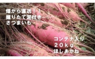 BZ-23 【先行予約】2023年度産 約20kgコンテナ入りサツマイモ（ほしあかね）
