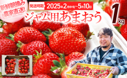 ※2025年2月中旬〜5月10日頃にかけて順次出荷予定！ 筑後平野の肥沃な土をベッドにすくすくと育ったあまおう。 大粒から小粒まで形は様々ですが、美味で大人気です。 シーズン中盤以降なのでたっぷり大容