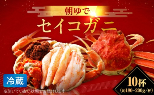 【先行予約/11月7日より順次発送】朝ゆで国産セイコガニ　10杯  【配送不可地域：北海道・沖縄・離島】  [BFAA005]  1017869 - 福井県小浜市