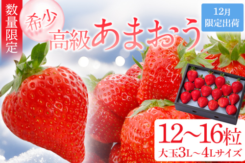 年内発送 12月限定 高級 あまおう ギフト 数量限定 400g以上（約12粒～16粒程度）【2025年12月出荷予定】 福岡県 大木町 BD06 1017918 - 福岡県大木町