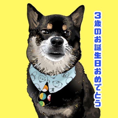 プレゼントにピッタリ！似顔絵アート 1名 099H2009 1018106 - 大阪府泉佐野市