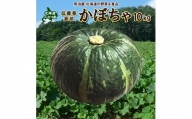 <早期予約>北海道ニセコ町 かぼちゃ10kg【2024年産】【3200701】