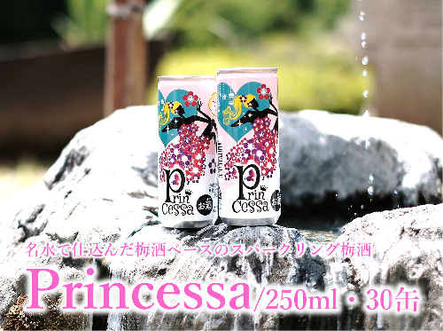 【ふるさと納税】【リキュール】【スパークリング梅酒】Princessa 1018230 - 福島県磐梯町