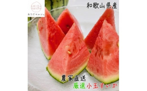 ［先行予約］厳選 小玉すいか Ｍサイズ ／2玉入り［農家直送］［先行予約］［和歌山県産］［MS127］ 1018232 - 和歌山県那智勝浦町