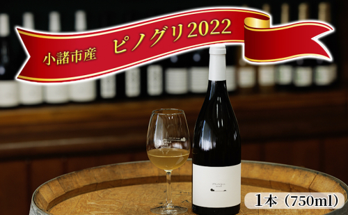 小諸産 2022 ピノグリ 750ml 赤ワイン お酒 熟成ワイン ワイン 101830 - 長野県小諸市