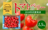 〔先行受付〕しおかぜの畑中野ファーム余市産トマトベリー1.5kg(2024年初夏発送)　ミニトマト