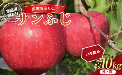 【令和6年産先行予約】 〈訳あり品 家庭用〉 りんご 「サンふじ」 約10kg (24～36玉) バラ詰め 《令和6年11月中旬～12月上旬発送》 『マルタニ農園』 リンゴ 山形県 南陽市 [1916]