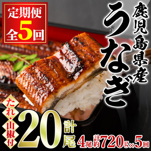 【134043】＜定期便・全5回＞東串良町のうなぎ蒲焼(無頭)(4尾・計約720g・タレ、山椒付×5回)うなぎ 高級 ウナギ 鰻 国産 蒲焼 蒲焼き たれ 鹿児島 ふるさと 人気【アクアおおすみ】 101868 - 鹿児島県東串良町