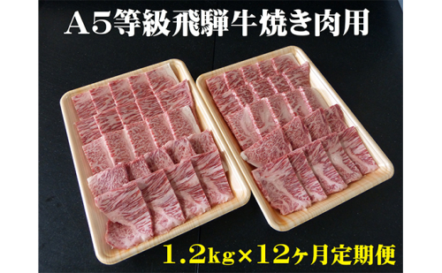 【12ヶ月定期便】A5等級 飛騨牛 焼き肉用 1.2kg ロース又は肩ロース肉 101961 - 岐阜県池田町