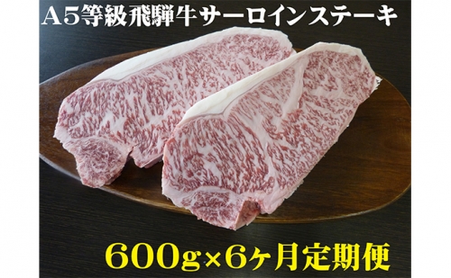 【6ヶ月定期便】A5等級 飛騨牛 サーロインステーキ用 600g
