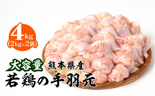 大容量 熊本県産 若鶏の手羽元 合計4kg（2kg×2袋）鶏肉 1019749 - 熊本県八代市