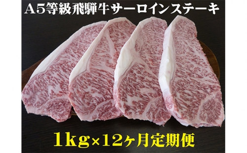 【12ヶ月定期便】A5等級 飛騨牛 サーロインステーキ用 1kg
