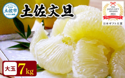 【日本ギフト大賞2024受賞】先行予約 園主こだわりの土佐文旦 7キロ（12 - 17玉） 2026年1月下旬より順次発送 やの一果彩 1019866 - 高知県土佐市