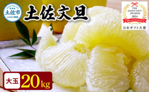 【日本ギフト大賞2024受賞】先行予約 園主こだわりの土佐文旦 20キロ（10キロ：18 - 24玉×2箱） 2026年1月下旬より順次発送 やの一果彩 1020044 - 高知県土佐市
