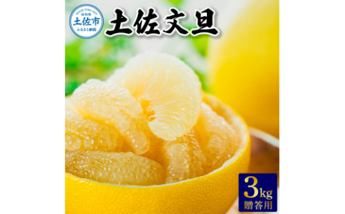 温室土佐文旦 贈答用3kg 先行予約 2025年12月中旬より順次発送 やの一果彩  1020057 - 高知県土佐市