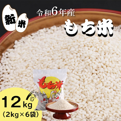 【四国一小さなまち】★精米 新米 もち米 12kg★≪令和6年11月中旬から順次発送開始≫令和6年産 もち米 12kg（2kg×6袋）　米 お米 精米 こめ コメ モチ もち もち米 赤飯 餅 餅米 新米 おはぎ おもち おこわ 限定 グルメ お取り寄せ 高知県 田野町 国産 故郷納税 1020058 - 高知県田野町