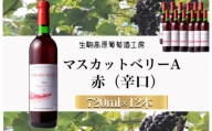 【高原のフレッシュワイン】マスカットベリーA（赤）　1ダース