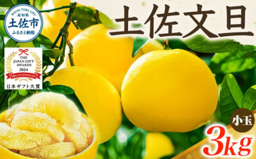 【日本ギフト大賞2024受賞】【先行予約】文旦 小玉3kg（L～M）2026年1月下旬より順次発送  1020219 - 高知県土佐市