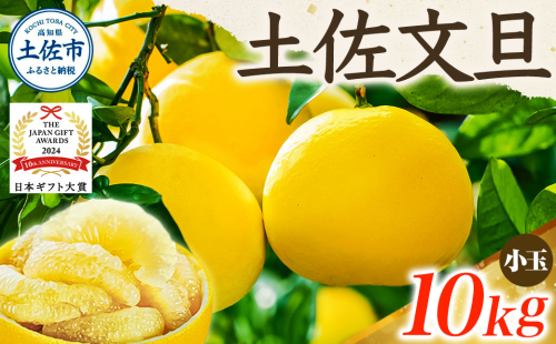 【日本ギフト大賞2024受賞】【先行予約】文旦 小玉 10kg（L～M）2026年1月下旬より順次発送 1020224 - 高知県土佐市