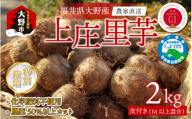 【先行予約】【10月発送】こだわりの特別栽培 上庄里芋2kg  化学肥料不使用・農薬50％以上カットの特別栽培里芋 農家直送