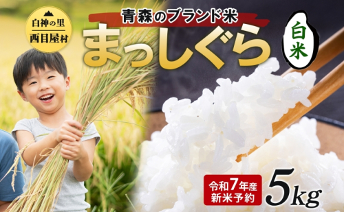 令和7年度産 新米 白神の里 西目屋村産 まっしぐら 白米5kg 白米 1袋5kg 青森ブランド米 米 お米 コメ こめ ご飯 ごはん 和食 炊き立て 国産 備蓄 送料無料 つややか 青森県 西目屋村 1020408 - 青森県西目屋村