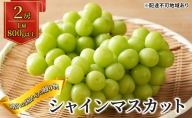 晴れの国からの 贈り物 シャインマスカット 2房（1房800g以上） 岡山県産 葡萄 ぶどう 果物 フルーツ 2023年