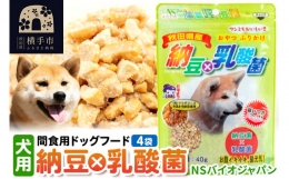 【ふるさと納税】間食用ドッグフード 納豆×乳酸菌(犬用) 4袋 ゆうパケット