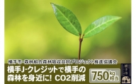 横手J‐クレジットで横手の森林を身近に! CO2削減 750kg相当