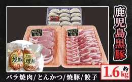 【ふるさと納税】5616-1 鹿児島黒豚焼肉・トンカツ＋焼豚・餃子セット