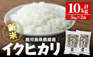 1125-1 令和6年産新米「美里吾平（うましさとあいら）イクヒカリ」10kg［5kg×２袋］【国産 鹿児島県産 米 新米 こめ コメ 】