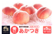 横手市増田産の桃 あかつき 約5kg 秀以上 18～22玉 大きいサイズ