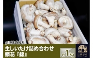 鱗花 -錦-（生椎茸） 約1kg
