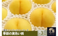 季節の黄色い桃 約3kg