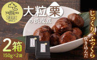 【化粧箱入り】栗 渋皮煮 甘露煮 大粒 計600g 150g × 2袋 × 2箱 3Lサイズ 熊本県産 山都町産【食彩の里 ふしみ】[YAG002]