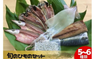 旬のひものセット5～6種 伝統200年の味 鈴伝商店
