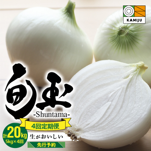 (2026年発送)【先行予約】新玉ねぎ 食べ比べ定期便 生がおいしい 神重農産のブランド玉ねぎ「旬玉」5kg×4回　H105-128 102343 - 愛知県碧南市