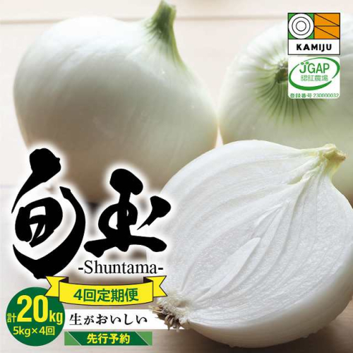 【事前予約】新玉ねぎ 食べ比べ定期便 生がおいしい 神重農産のブランド玉ねぎ「旬玉」5kg×4回　H105-128 102343 - 愛知県碧南市